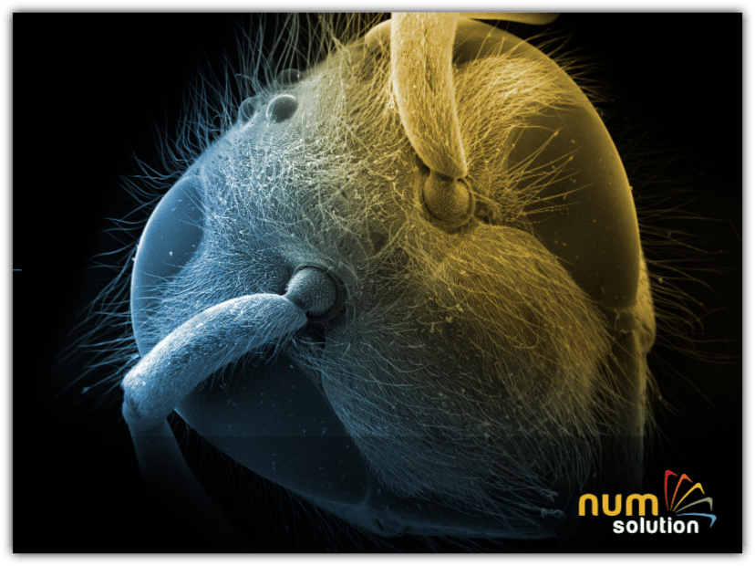 ThermoDynamic Simulator
